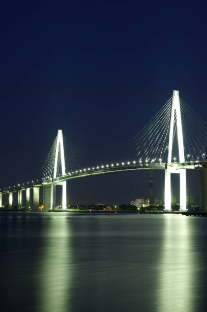 istock Night view of Shinminato Ohashi(Toyama Prefecture) 825574112