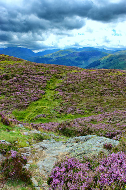 istock View of Ullswater in Cumbria. 825574134