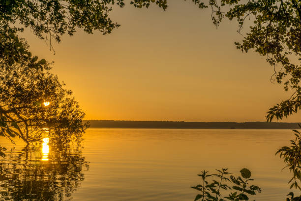 istock Sunrise over a lake with leaves of trees in the foreground 825577310