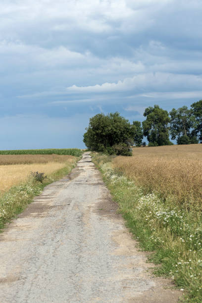 istock A straight field path leading to a forest under storm clouds 825577790