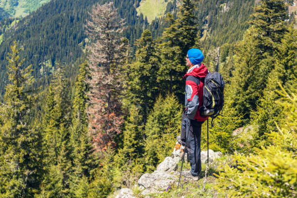 istock Adventurer stands on the cliff 825580858