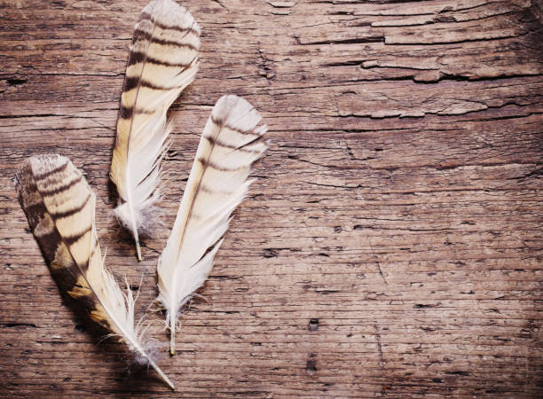istock Feathers of a bird on a wooden background 825584808