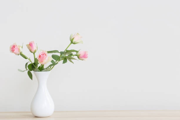 istock pink roses in vase on white background 825584900