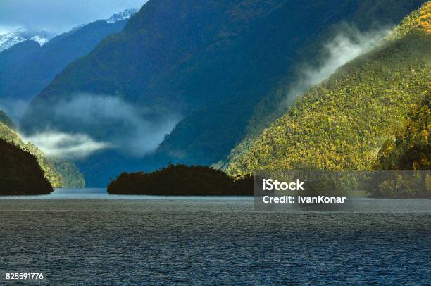 Foto de Paisagem e mais fotos de stock de Chile - Chile, Fiorde, Ajardinado