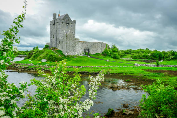 château de dunguaire - kinvara photos et images de collection