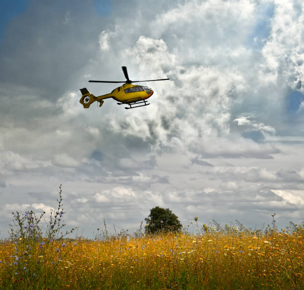 istock Flight over a field-taking off helicopter over a flowering meadow against a cloudy sky background 825597774
