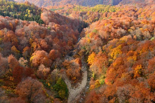 Summer & Autumn of Jogakura Gorge, Aomori, Japan Autumn colors of Jogakura Gorge, Aomori City, Aomori Prefecture, Japan. hakkoda mountain range stock pictures, royalty-free photos & images