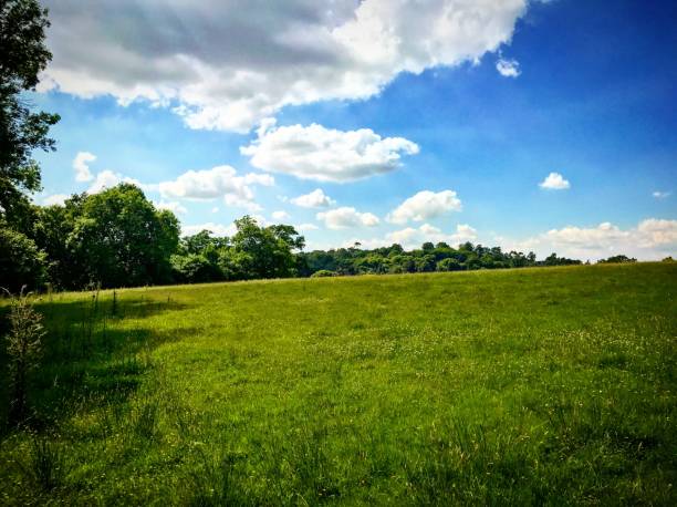 istock English Countryside 825611536