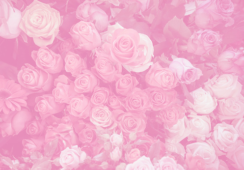 flower background - roses in pale vintage color tone effect