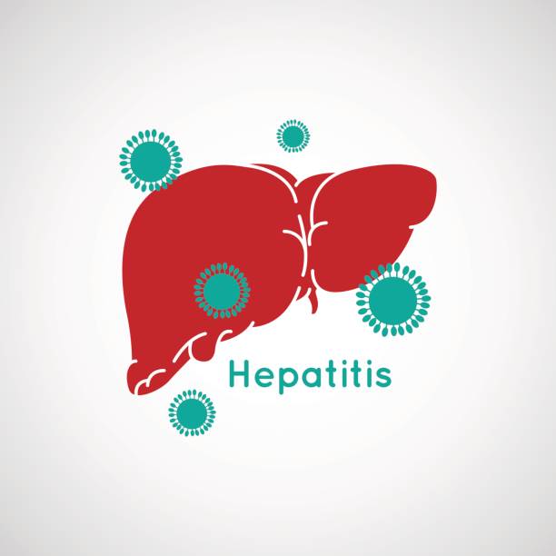 Vector illustration of Hepatitis vector art illustration