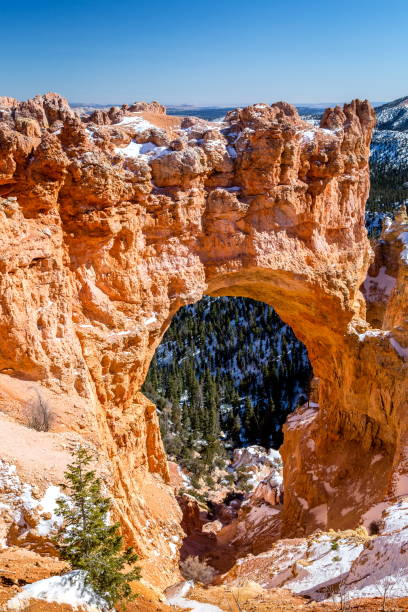 istock Bryce Canyon National Park, Utah-USA 825616150