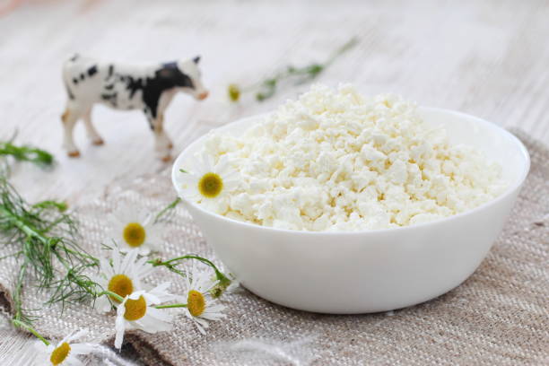 istock Cottage cheese in a bowl 825617660