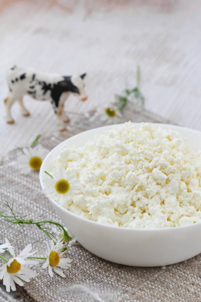istock Cottage cheese in a bowl 825617668