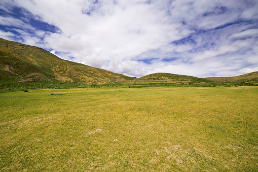 Scenic view of grass field with mountain and cloudy sky