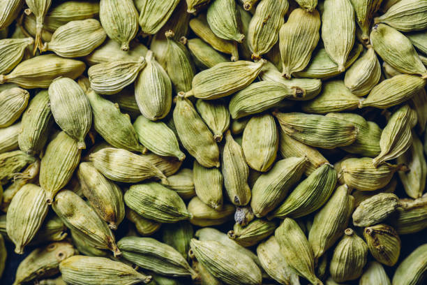 istock Pods of Green Cardamom. 825620758