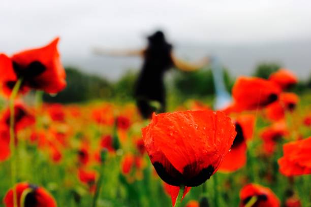 istock Red flowers and girl 825623496