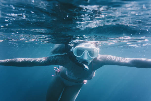 istock Underwater image of free diver. 825624230