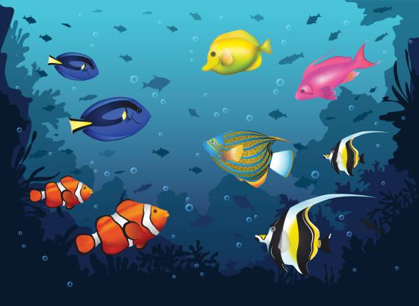 ilustrações, clipart, desenhos animados e ícones de fundo de mar profundo debaixo d'água com peixes tropicais - euxiphipops navarchus