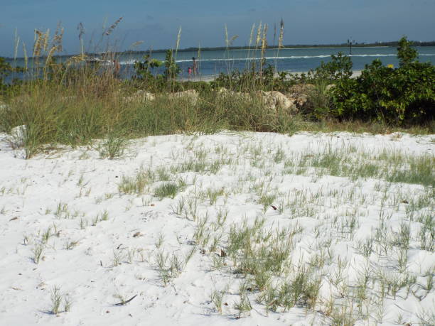 istock SANIBEL CAUSEWAY W/BEACH 825627188