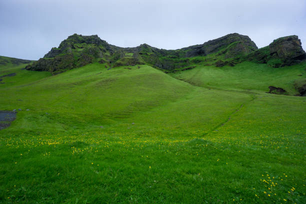istock Iceland - Green meadow and mountainous landscape 825627718