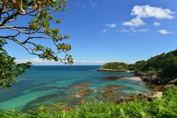 le couperon, jersey, royaume-uni - jersey uk nature landscape photos et images de collection