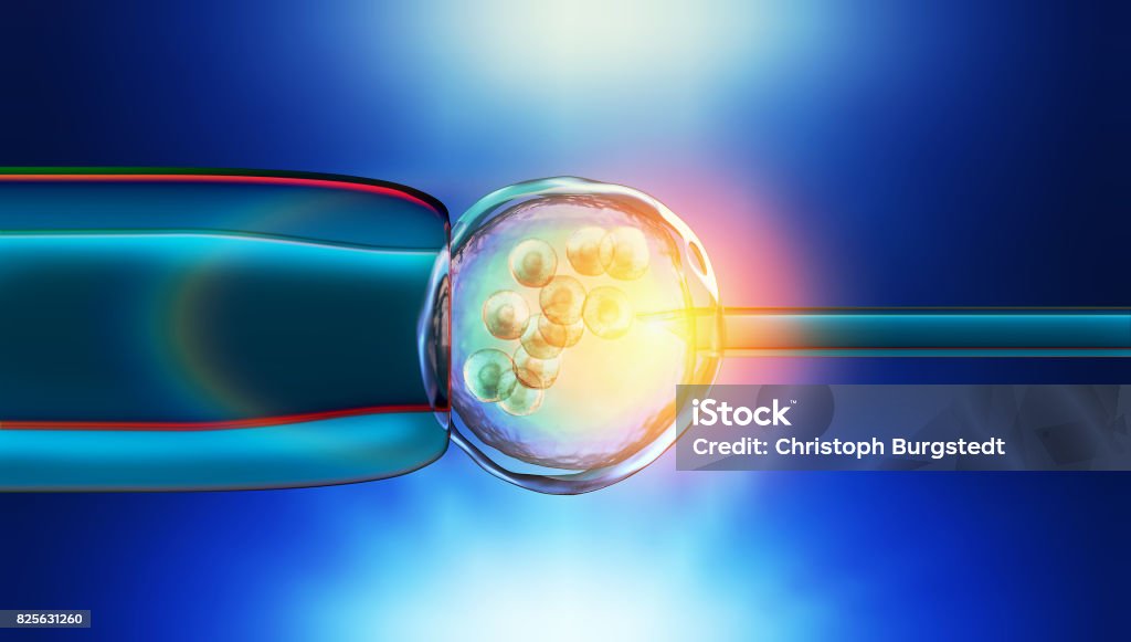 Colorful 3d Illustration of a in-vitro fertilization of an egg cell In Vitro Fertilization Stock Photo