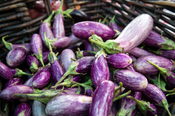 istock Organic Farmer's Market Fresh Vegetable 825635740