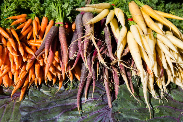 istock Organic Farmer's Market Fresh Vegetable 825636498