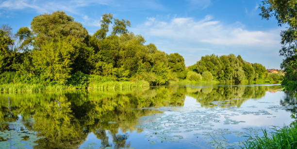 istock Reflection of blue sky in the river water 825636766