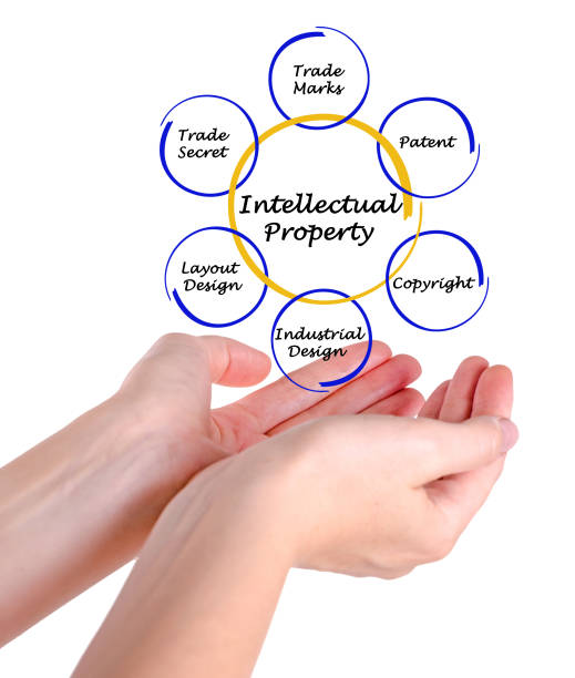 istock Diagram of Intellectual Property 825646812