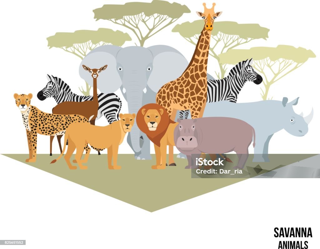 African animals of savanna elephant, rhino, giraffe, zebra, lion, hippo Savanna animal composition with trees. Elephant, rhino, giraffe, cheetah, zebra, lion hippo isolated African vector illustration Safari Animals stock vector