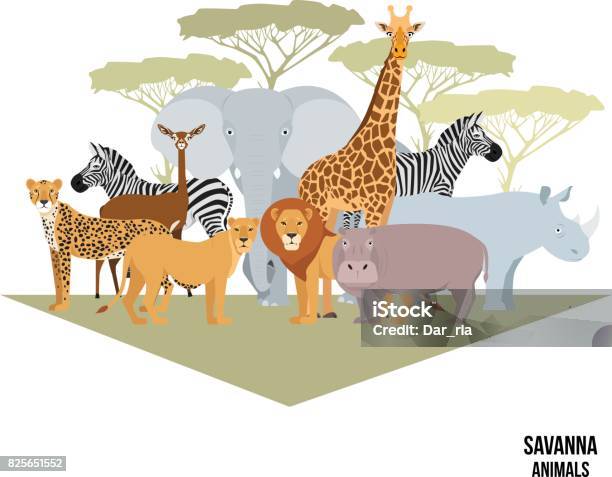 African Animals Of Savanna Elephant Rhino Giraffe Zebra Lion Hippo Stock Illustration - Download Image Now