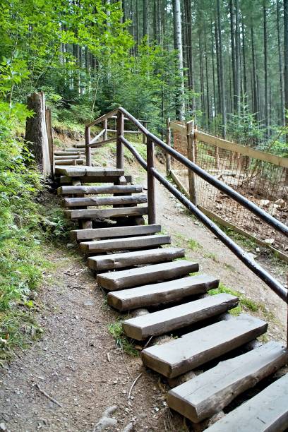 istock Typical walk in the forest open-air museum in Vydrovo 825654820