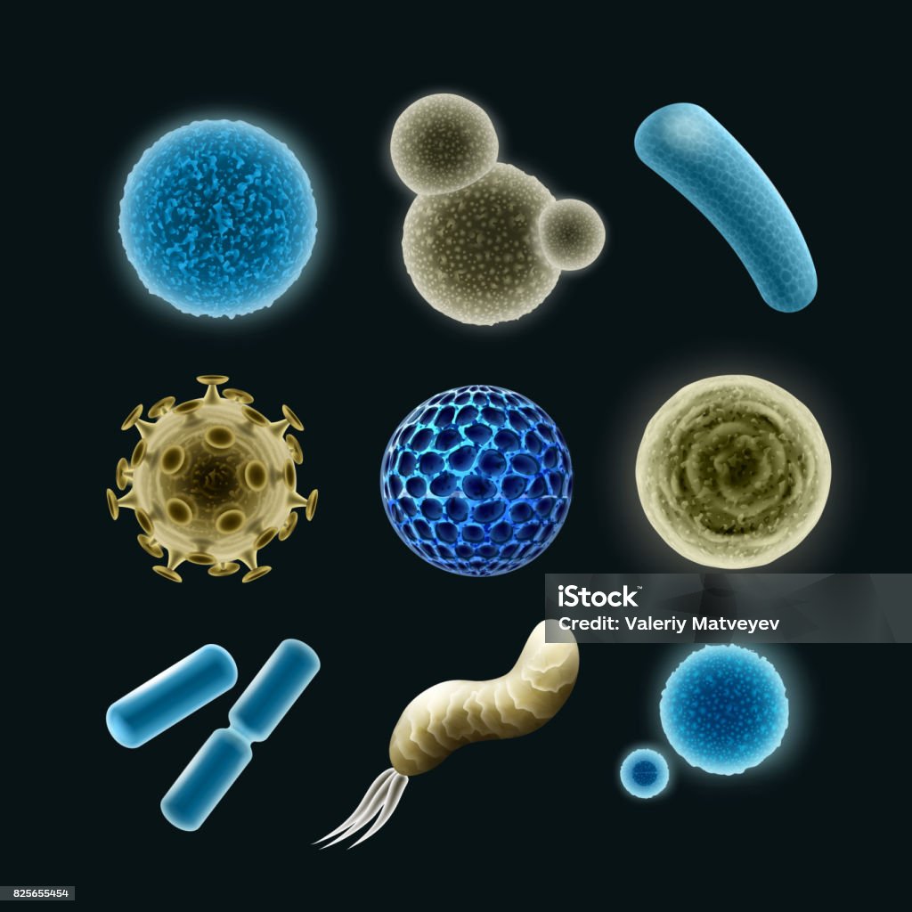 Set of bacteria Vector set of different bacteria and virus cells cocci, spirilla, bacilli, diplobacilli isolated on dark background Bacterium stock vector