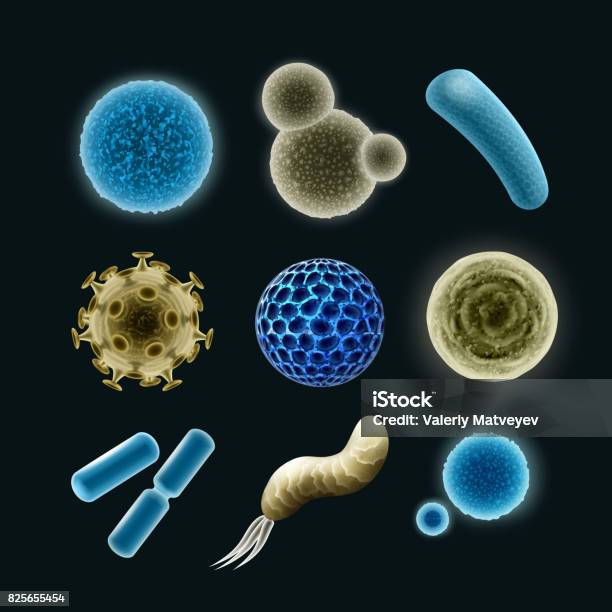 Set Of Bacteria Stock Illustration - Download Image Now - Bacterium, Biological Cell, Virus