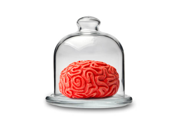 Brain in Crystal Cakestand Brain in Crystal Cakestand brain jar stock pictures, royalty-free photos & images
