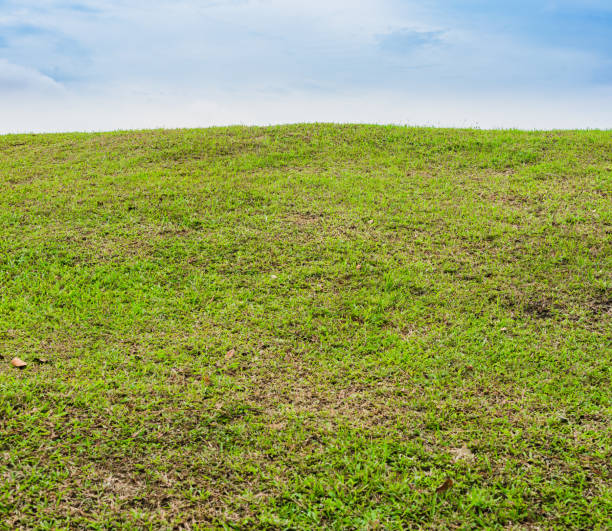 istock Beautiful Green grass field on small hill and blue sky 825662380