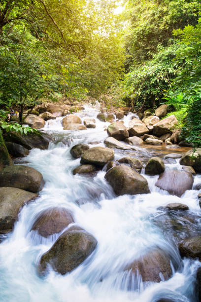 istock Plew waterfall at Juntaburi , Thailand 825662994
