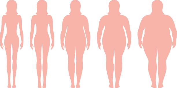 ilustracja wektorowa wskaźnika masy ciała od niedowagi do skrajnie otyłych. sylwetki kobiety o różnym stopniu otyłości. - slim women silhouette exercising stock illustrations