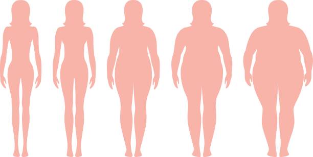 Body mass index vector illustration from underweight to extremely obese. Woman silhouettes with different obesity degrees. Body mass index vector illustration from underweight to extremely obese. Woman silhouettes with different obesity degrees. Female body with different weight. slim woman body stock illustrations