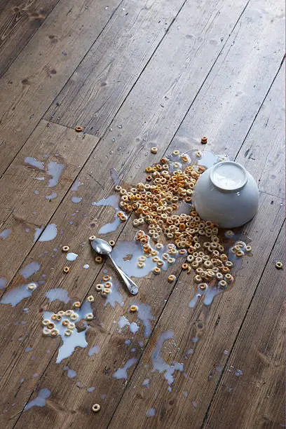 Photo of spilled breakfast cereal on floor