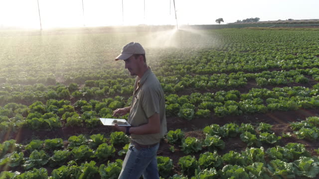 Aerial view of farmer using digital tablet and monitoring centre pivot irrigation