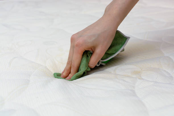 istock Creamy fabric cleaning with a Microfiber Cloth, Cleaning Sofa fabric 825678042