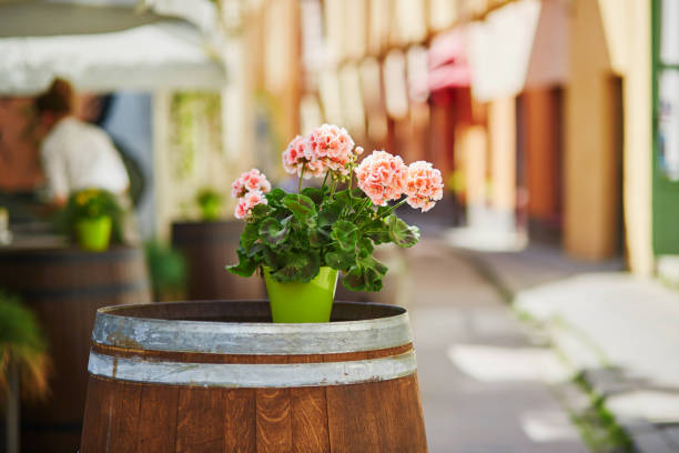 Table of an outdoor cafe in Vilnius, Lithuania, decorated with flower on a summer day
