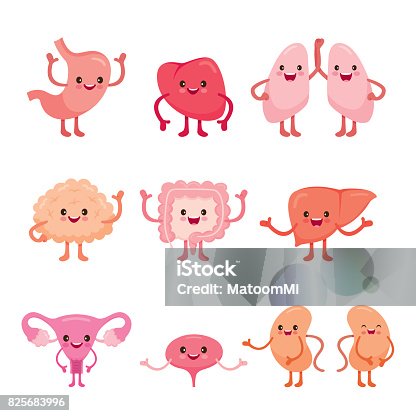 10,961 Digestive System Cartoon Stock Photos, Pictures & Royalty-Free  Images - iStock | Digestive system illustration