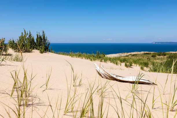 istock Driftwood at Sleeping Bear Dunes National Lakeshore 825696424