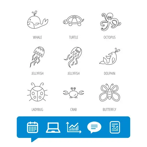Vector illustration of Octopus, turtle and dolphin icons. Jellyfish.