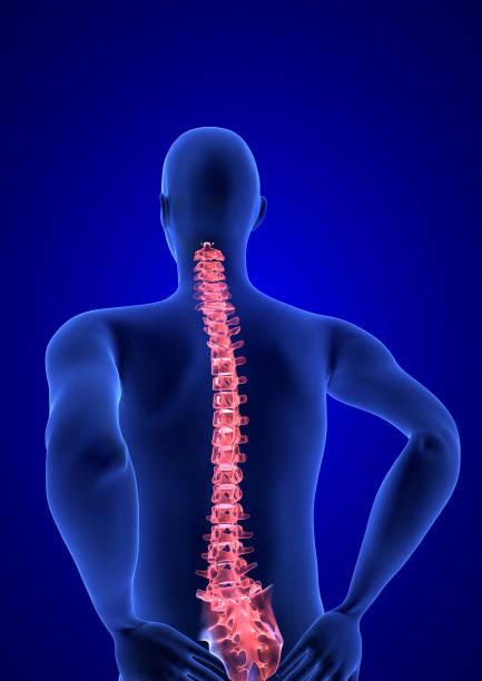 istock Spine Pain. Blue Human Anatomy Body 3D render on blue background 825710262