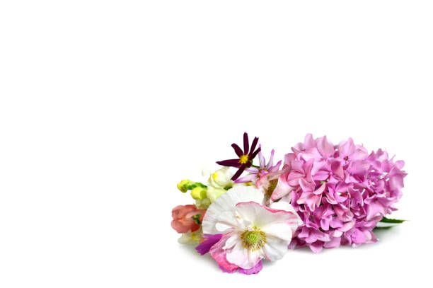 Mothers day background with flowers isolated on white