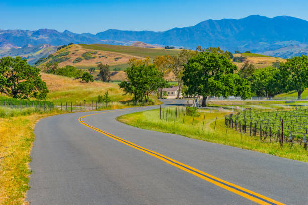 istock Spring vineyard in the Santa Ynez Valley Santa Barbara, CA(P) 825714556